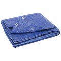 Howard Berger Heavy Duty Tarp, Blue, Plastic V1216